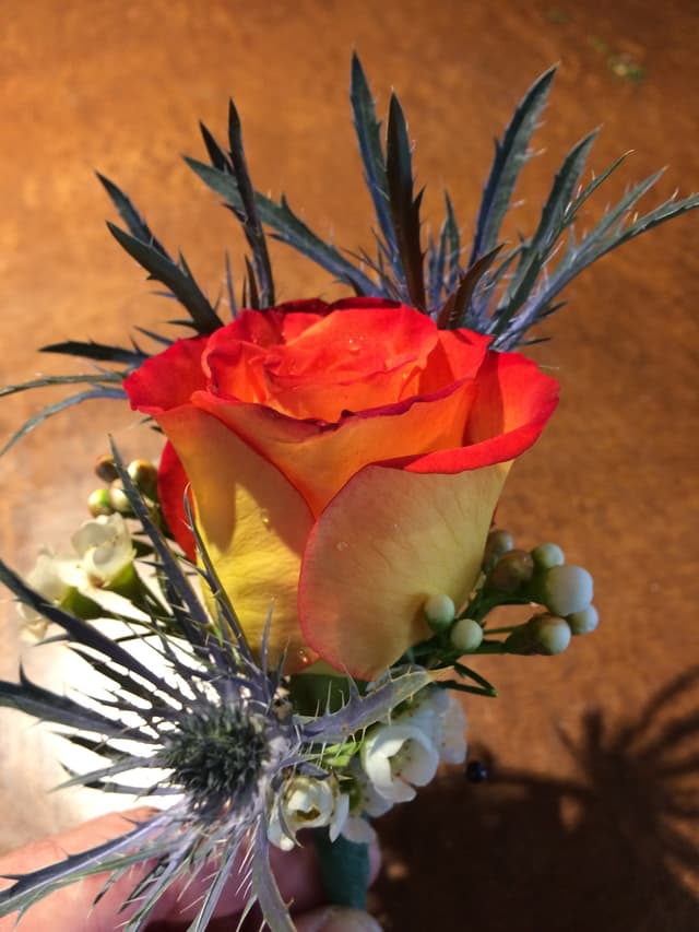 Orange rose boutonniere with blue thistle accents