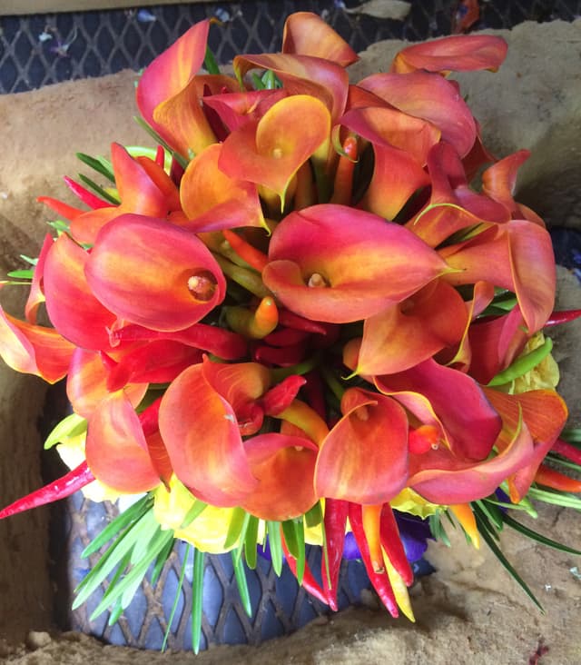 Vivid bouquet of flame-colored calla lilies