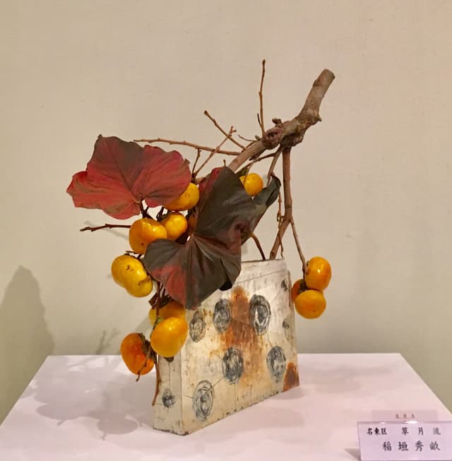 Sōgetsu-ryū ikebana with persimmons and large leaves in a wall-hung vessel