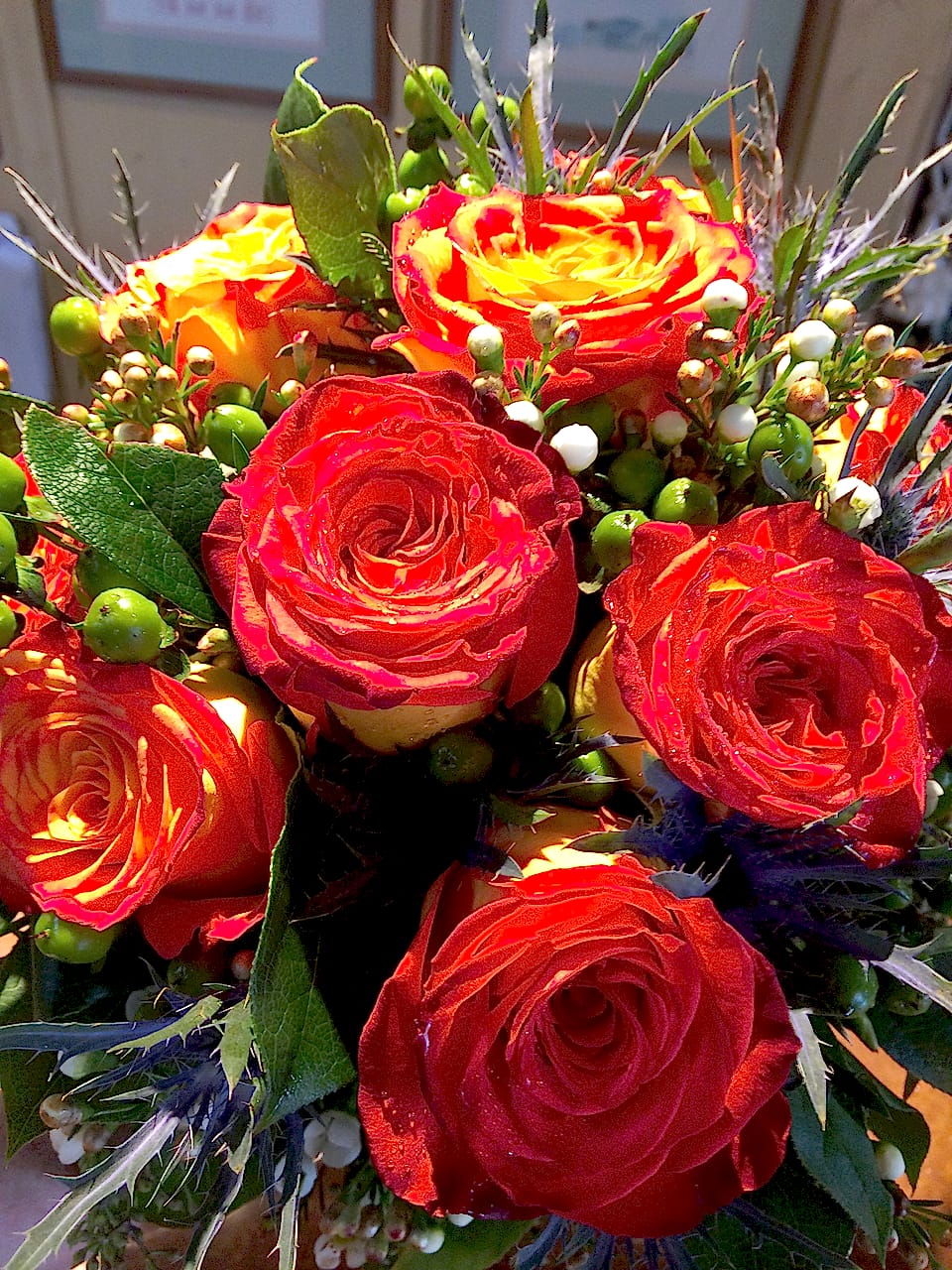 Close-up of vibrant orange and red Ecuadorian roses