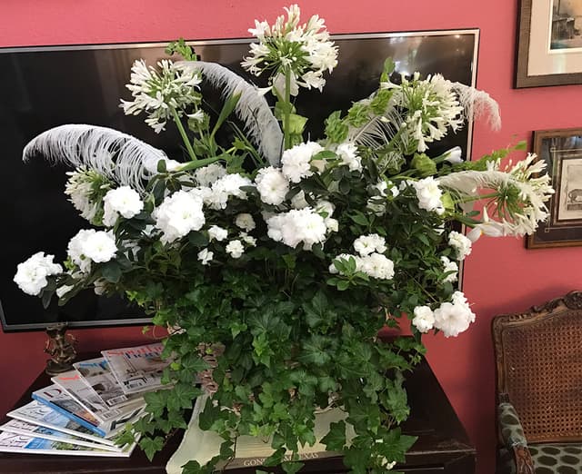 Statement design of azaleas, ivy, and agapanthus with white ostrich feathers