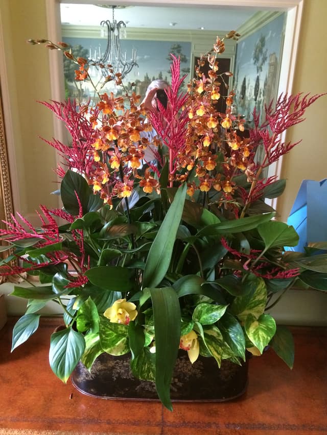 Arrangement combining oncidium orchids with red ginger and tropical foliage